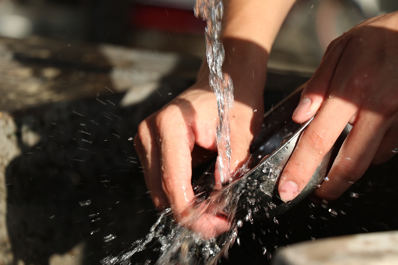 descubra como economizar água no dia a dia