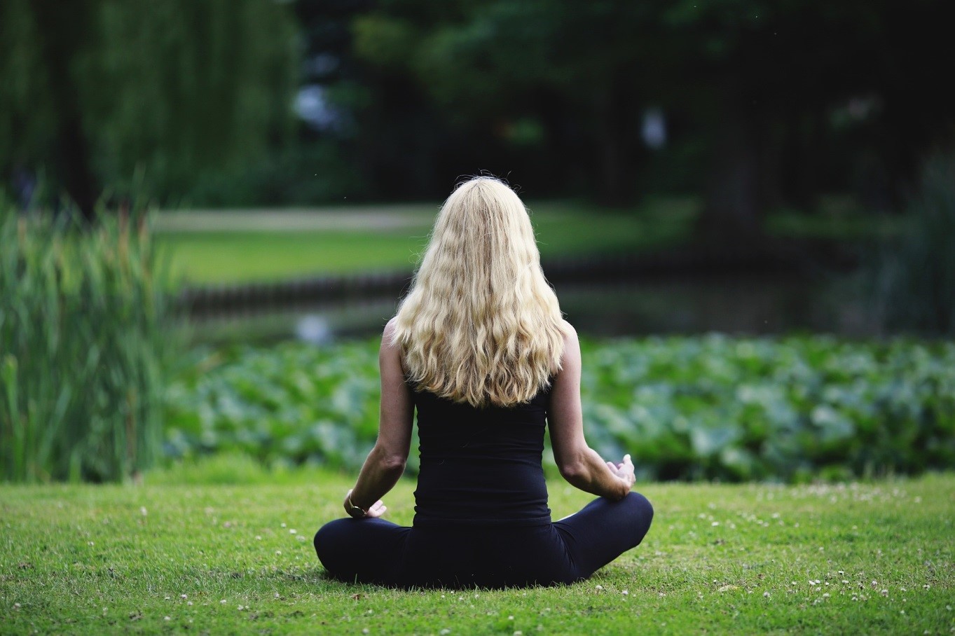 benefícios da meditação mindfulness